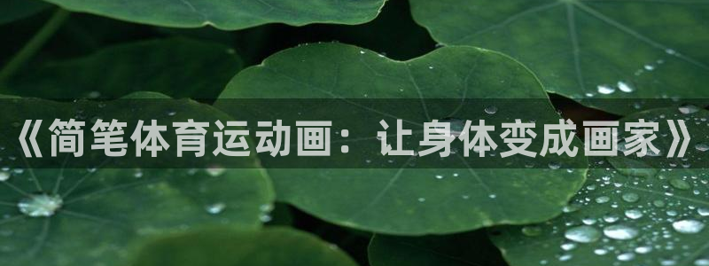 MK体育官方正版app官网：《简笔体育运动画：让身体