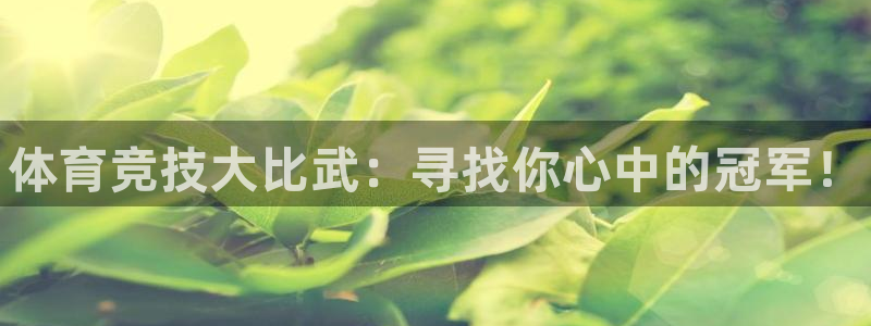 MK体育官网下载招商电话：体育竞技大比武：寻找你心中