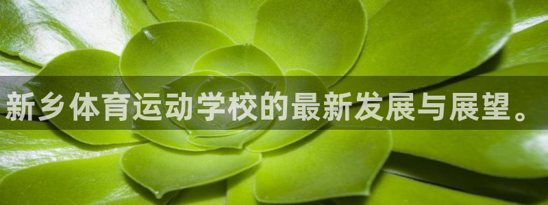 MK体育官网下载招商电话：新乡体育运动学校的最新发展