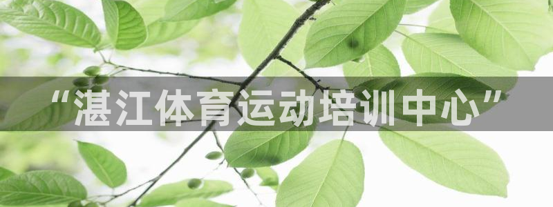 MK体育官方正版app集团E.ON：“湛江体育运动培