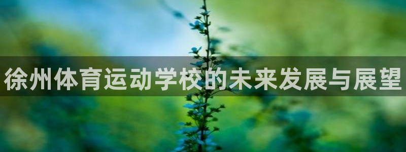 MK体育官方正版app集团logo：徐州体育运动学校