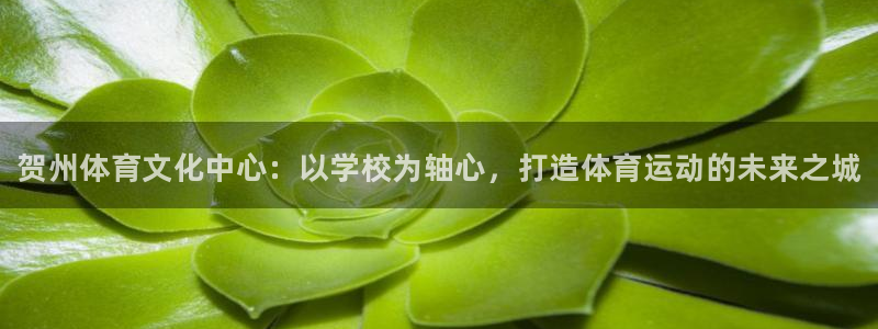 MK体育官网下载招商电话：贺州体育文化中心：以学校为