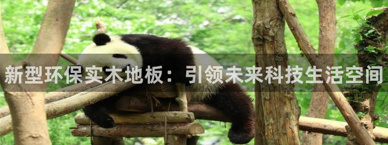 MK体育官网下载招商电话地址是多少：新型环保实木地板