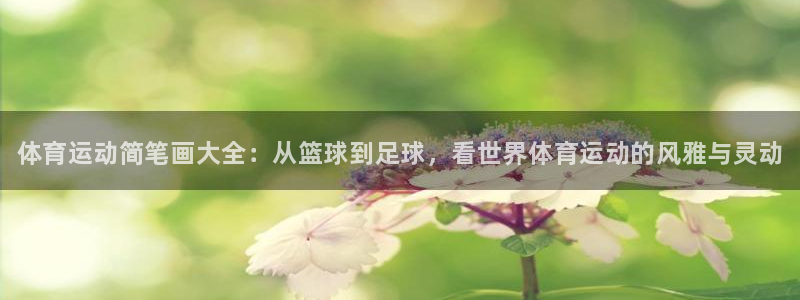 MK体育官方正版app科技：体育运动简笔画大全：从篮