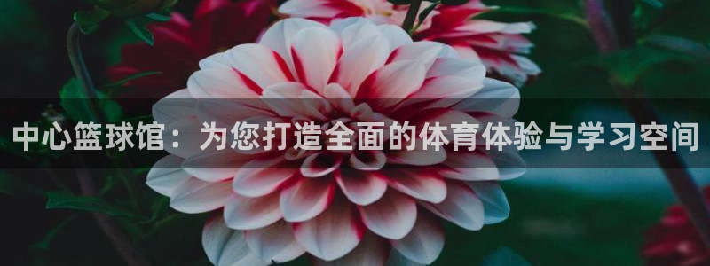 MK体育官网下载平台注册要钱吗安全吗：中心篮球馆：为