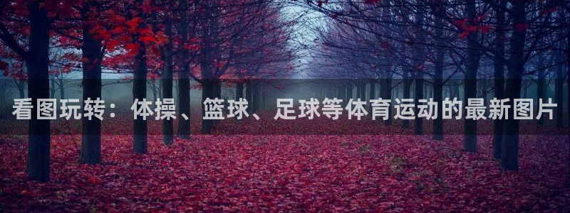 MK体育官网下载招商电话地址：看图玩转：体操、篮球、