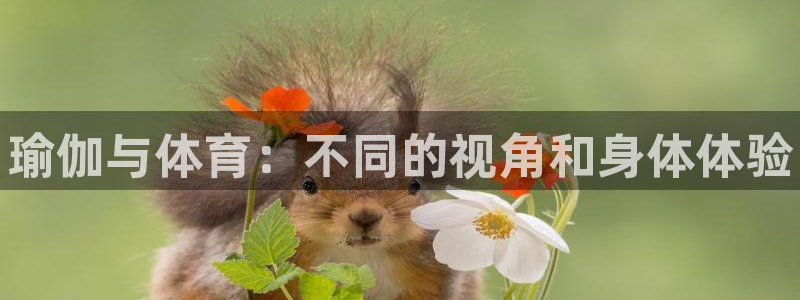 MK体育官网下载招商：瑜伽与体育：不同的视角和身体体