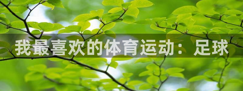 MK体育官方正版app集团logo：我最喜欢的体育运
