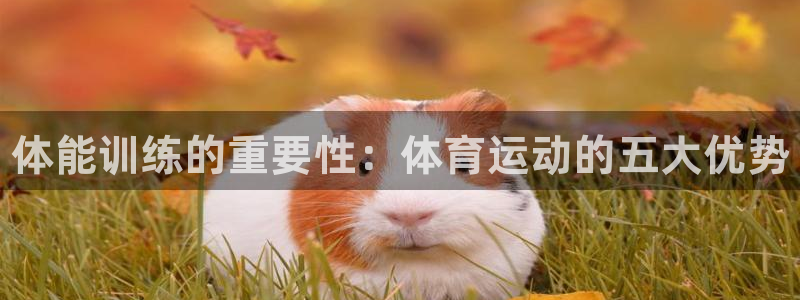 MK体育官网下载招商：体能训练的重要性：体育运动的五