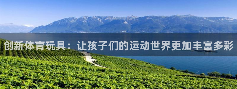 海南MK体育官网下载：创新体育玩具：让孩子们的运动世
