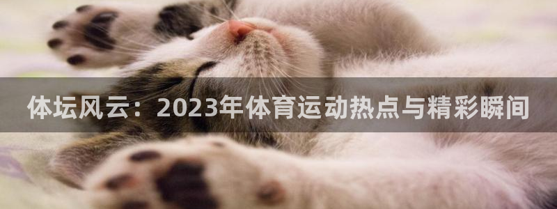 德国MK体育官方正版app集团：体坛风云：2023年体育运动