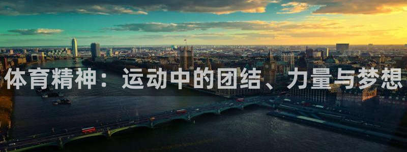 MK体育官方正版app集团官网首页
