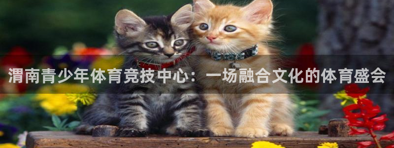 MK体育官网下载：渭南青少年体育竞技中心：一场融合文化的体育