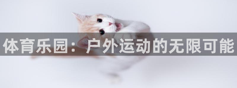 MK体育官方正版app集团