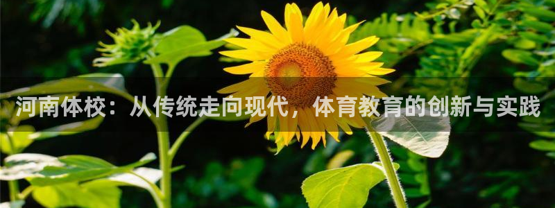 MK体育官网下载是干嘛的公司：河南体校：从传统走向现代，体育