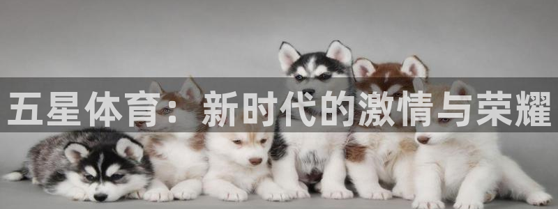 MK体育官网下载官方客服电话：五星体育：新时代的激情与荣耀