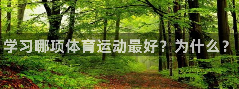 MK体育官方正版app娱乐40996：学习哪项体育运动最好？
