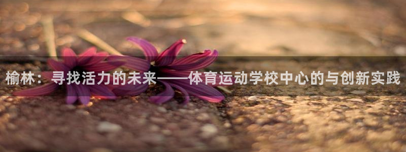 MK体育官网下载招商：榆林：寻找活力的未来——体育运动学校中