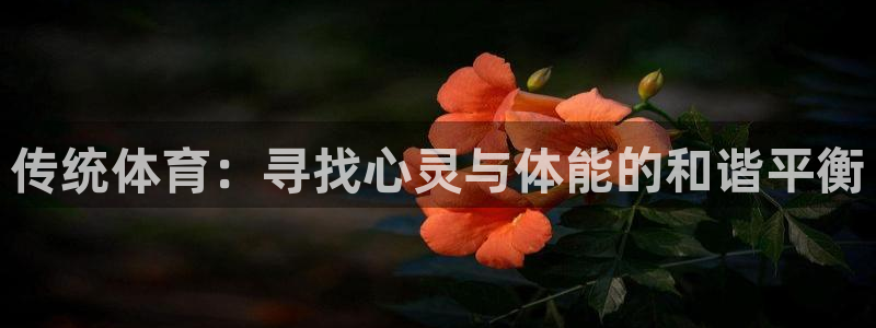 MK体育官网下载招商电话是多少啊