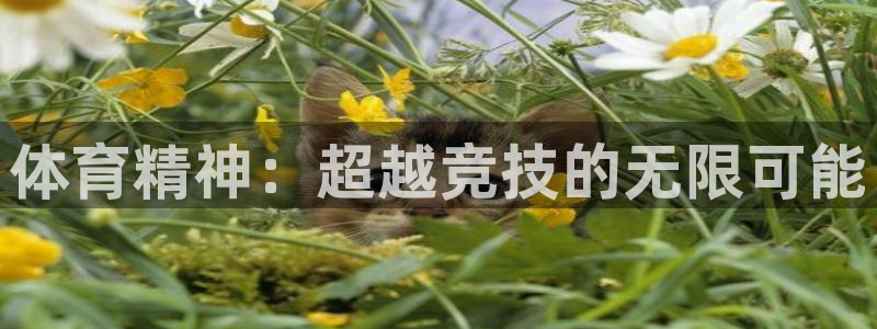 MK体育官网下载平台注册要钱吗：体育精神：超越竞技的