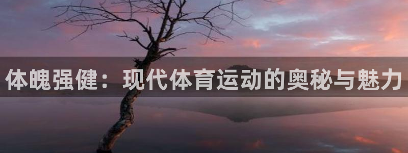 MK体育官方正版app集团：体魄强健：现代体育运动的