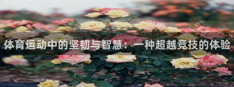 MK体育官网下载招商电话号码查询是多少：体育运动中的