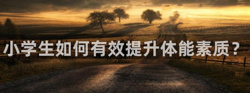 MK体育官网下载平台：小学生如何有效提升体能素质？
