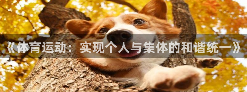 MK体育官网下载平台：《体育运动：实现个人与集体的和