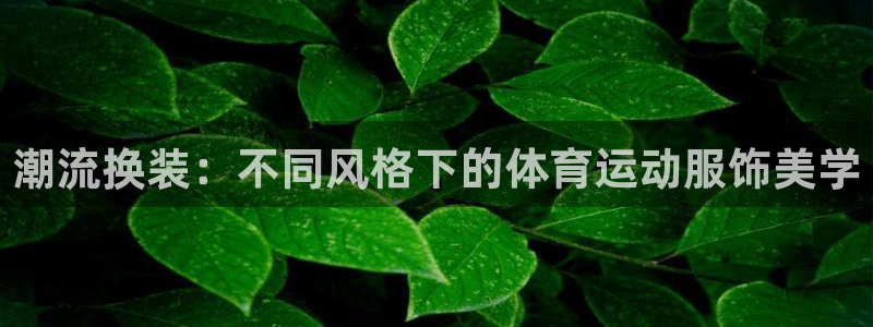 海南MK体育官网下载：潮流换装：不同风格下的体育运动