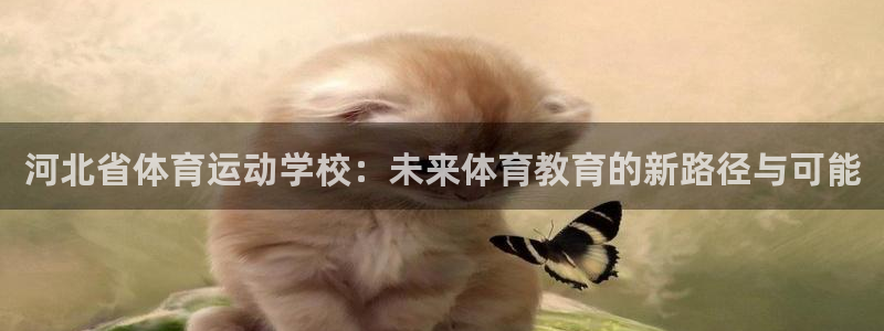 MK体育官方正版app集团：河北省体育运动学校：未来