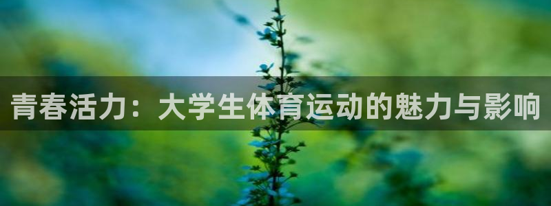 MK体育官方正版app集团E.ON：青春活力：大学生体育运动