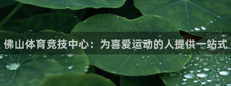 MK体育官方正版app娱乐代理怎么样：佛山体育竞技中心：为喜