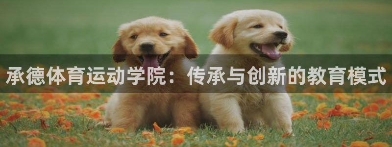 MK体育官方正版app集团官网首页网址