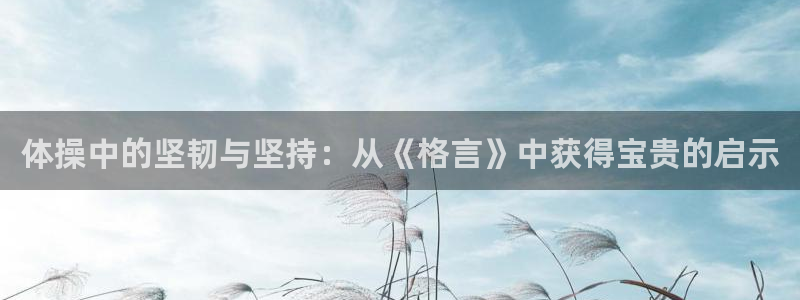 MK体育官方正版app科技：体操中的坚韧与坚持：从《格言》中