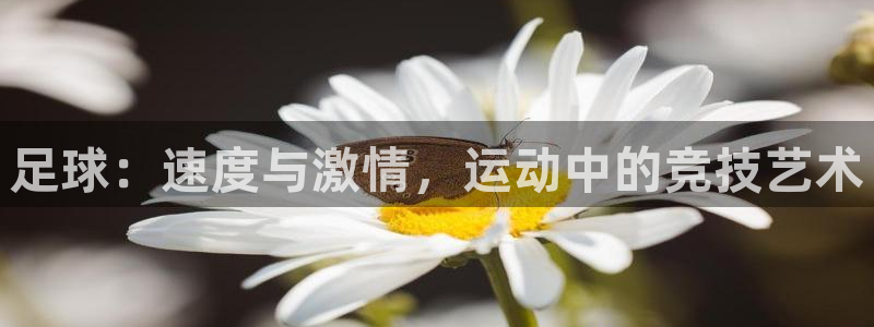 MK体育是正规的吗：足球：速度与激情