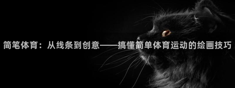 MK体育恩波利：简笔体育：从线条到创
