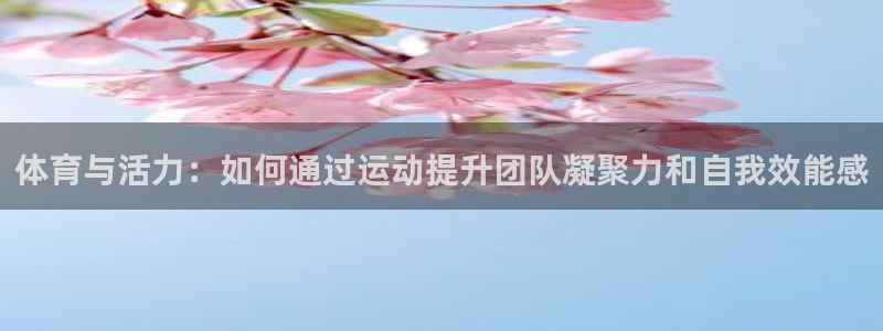 mk体育系列平台：体育与活力：如何通