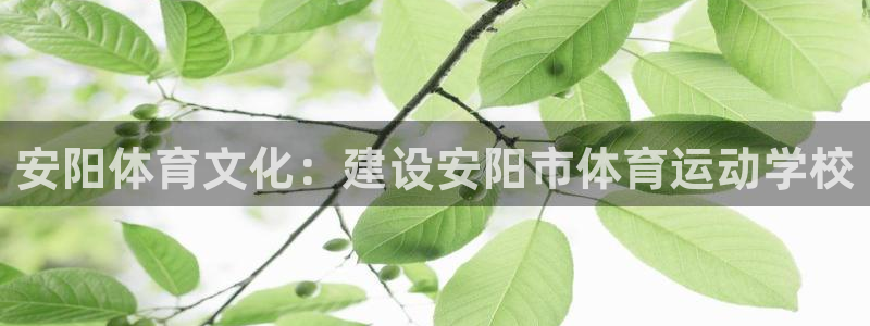 mk体育官网登录入口网址是多少：安阳