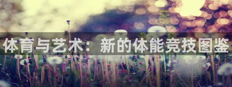 MK体育恩波利合作伙伴：体育与艺术：
