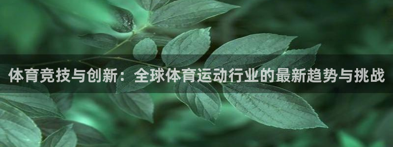 MK体育恩波利：体育竞技与创新：全球